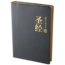 新標點中型橫排神簡體典雅黑