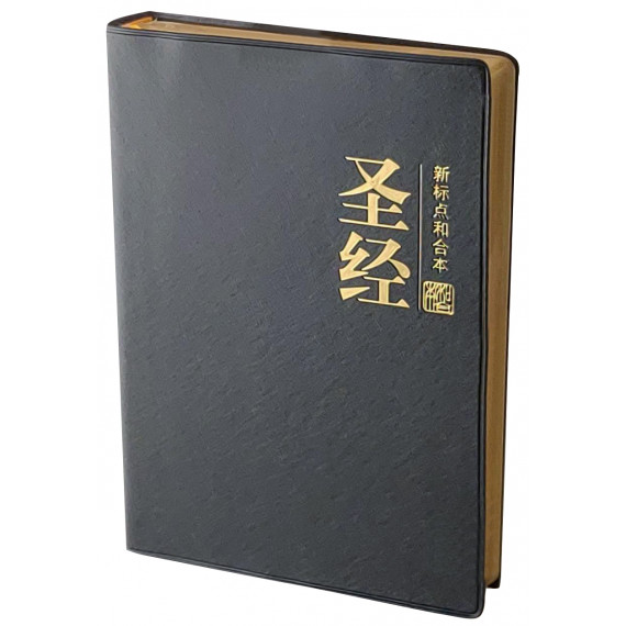 新標點中型橫排神簡體典雅黑