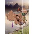 成蹤光影