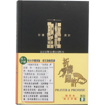 聖經-祈禱應許版和合大字皮面索引金邊