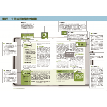 聖經-生命成長版(硬面)和合本/ 全新