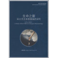 生命之靈：田立克生態聖靈論的研究