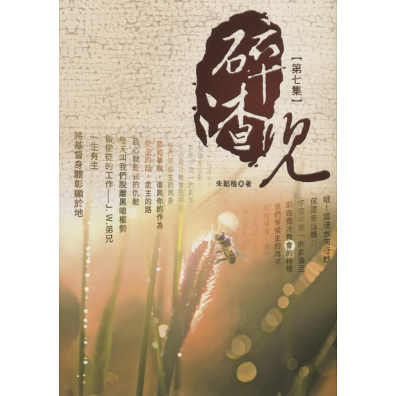 碎渣兒7-拾粹系列11