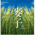 (絕版)一粒麥子(CD)-小羊創作詩歌集9